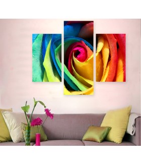 Multi-canvas 3x Rose rainbow